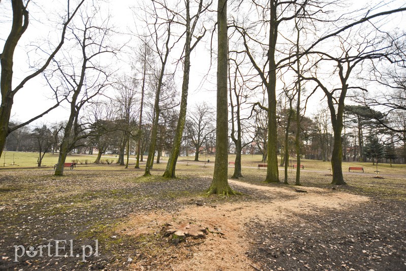 Wielkie cięcie na Zawadzie zdjęcie nr 146933