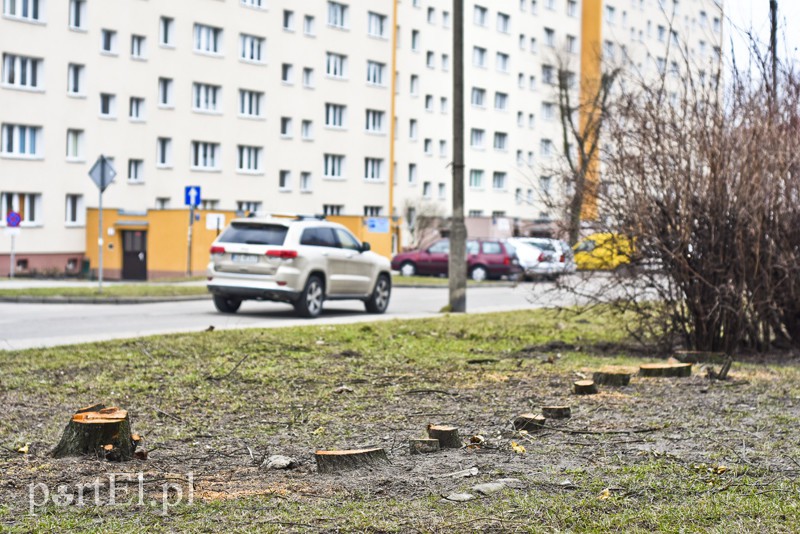 Wielkie cięcie na Zawadzie zdjęcie nr 146921