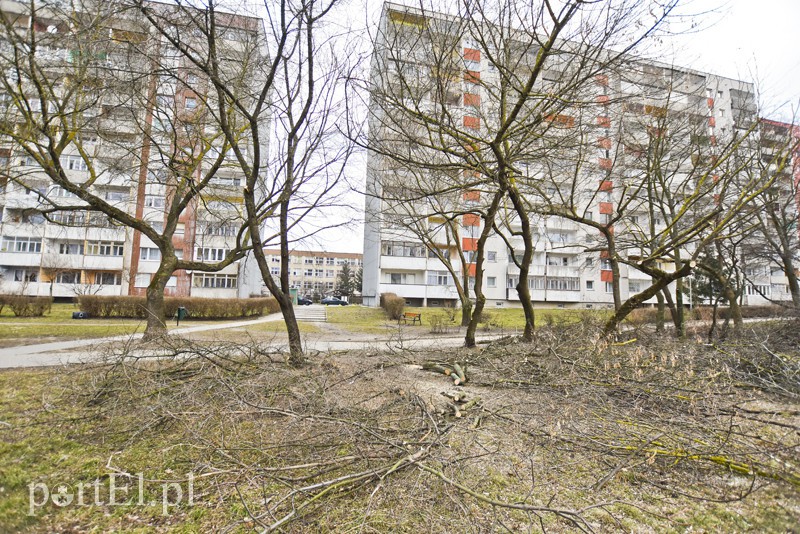 Wielkie cięcie na Zawadzie zdjęcie nr 146924