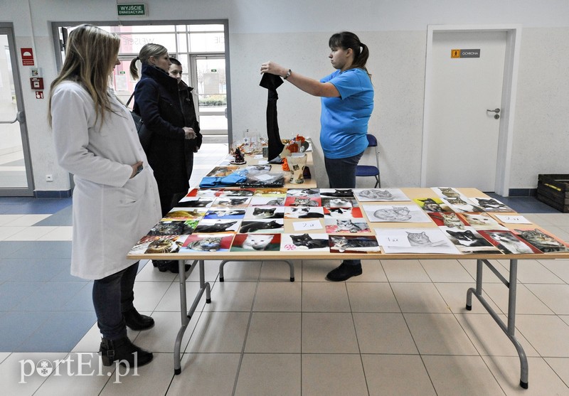 Z miłości do kotów zdjęcie nr 147144