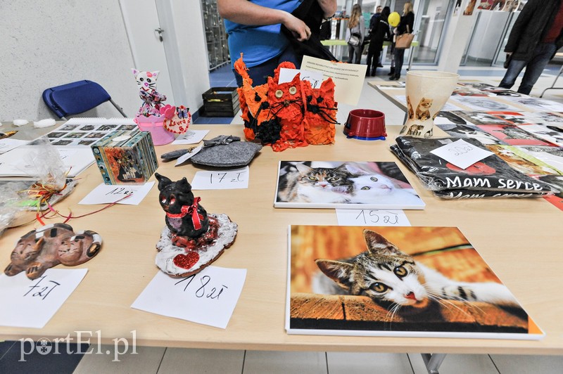 Z miłości do kotów zdjęcie nr 147147