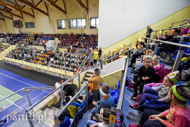 Jabłka rywalizowały z mandarynkami zdjęcie nr 147197