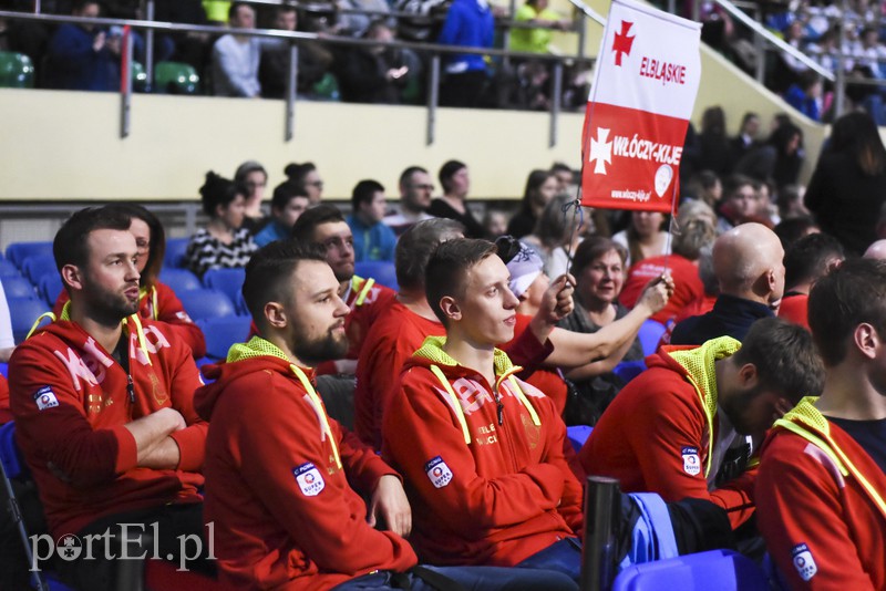 To był dobry rok w elbląskim sporcie zdjęcie nr 147708