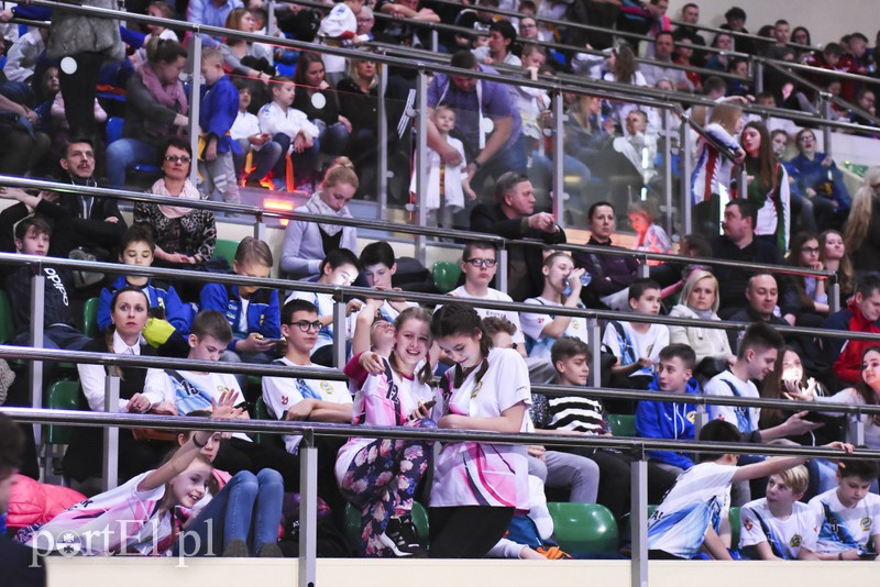 To był dobry rok w elbląskim sporcie zdjęcie nr 147702