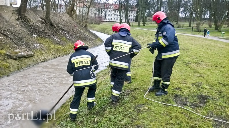 Utonął w Kumieli zdjęcie nr 147921