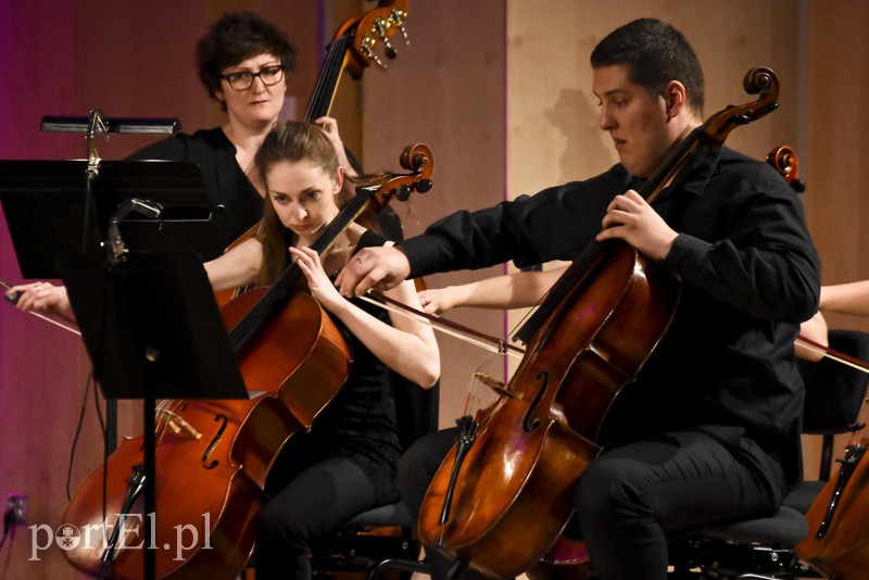 Nowe oblicza akordeonu zdjęcie nr 148367