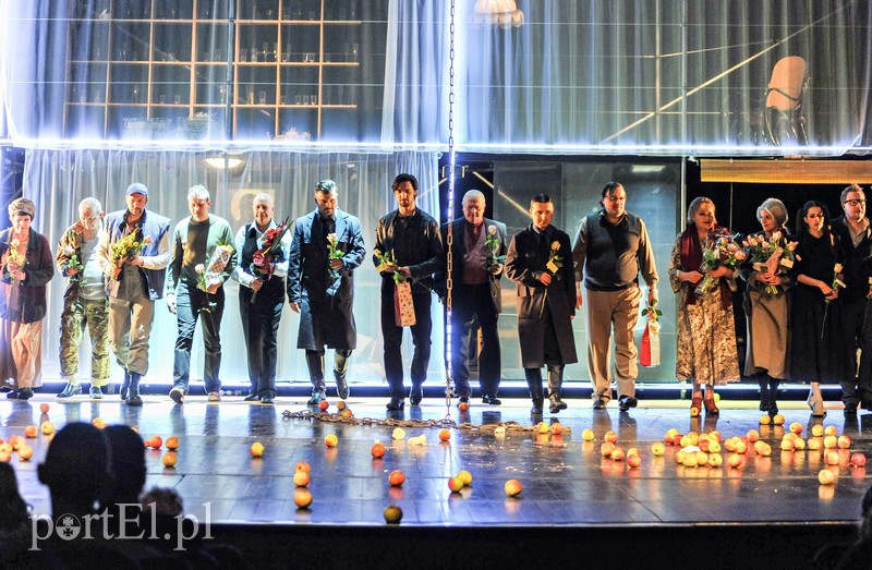 Aleksandry rozdane zdjęcie nr 148385