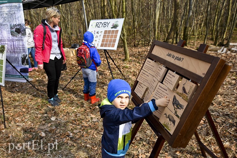 Zasadzili tysiąc nowych drzew zdjęcie nr 148843