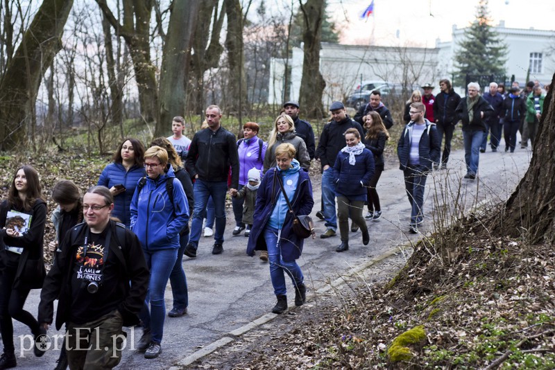Sowy szukaj i nasłuchuj nocą zdjęcie nr 149004