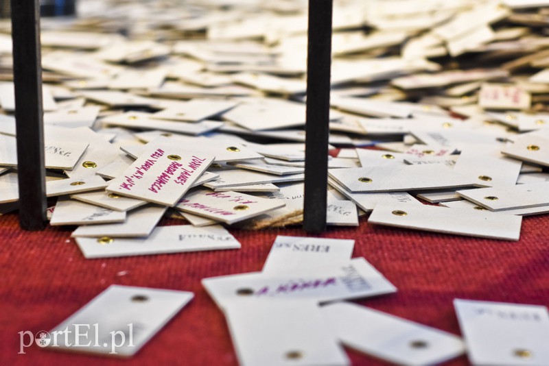 Galeria El na granicy chaosu zdjęcie nr 149366