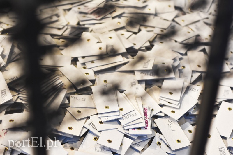 Galeria El na granicy chaosu zdjęcie nr 149365