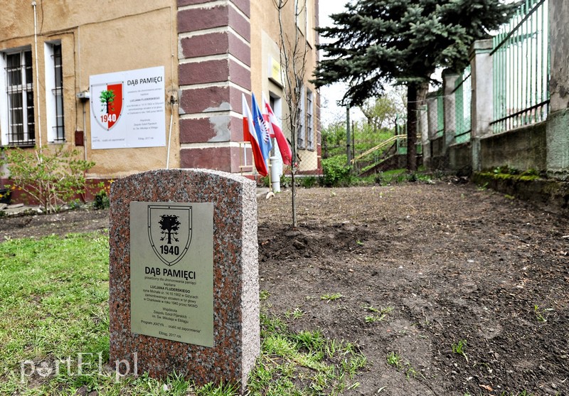 Ocalić od zapomnienia zdjęcie nr 150771