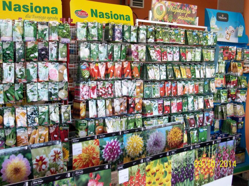 Elbląg Wiosną wybierz się do MGarden