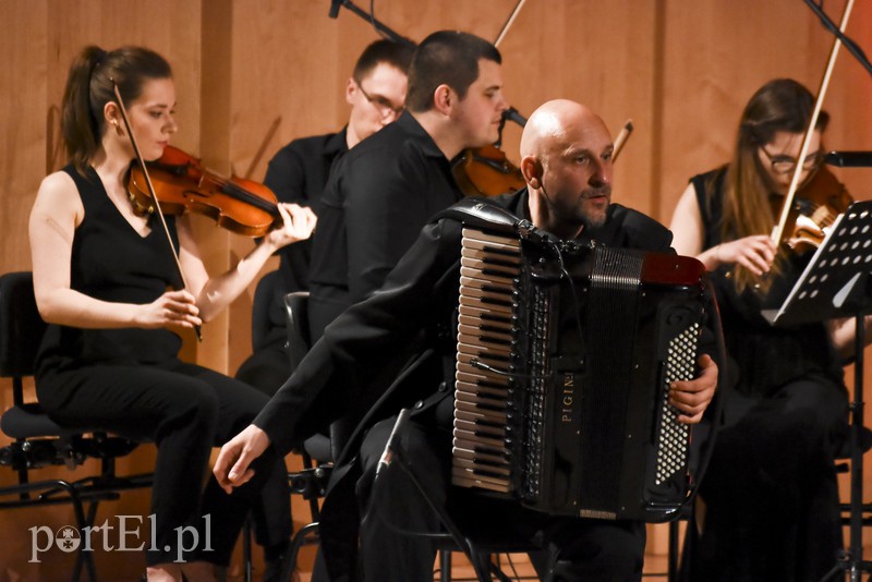 Trzech sympatycznych muzyków i ich akordeony zdjęcie nr 151500