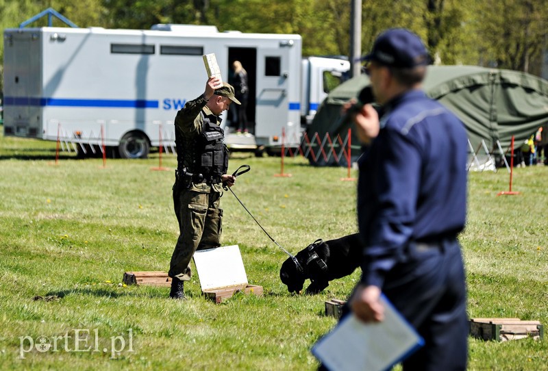 Wystrzałowy festyn służb mundurowych zdjęcie nr 151585