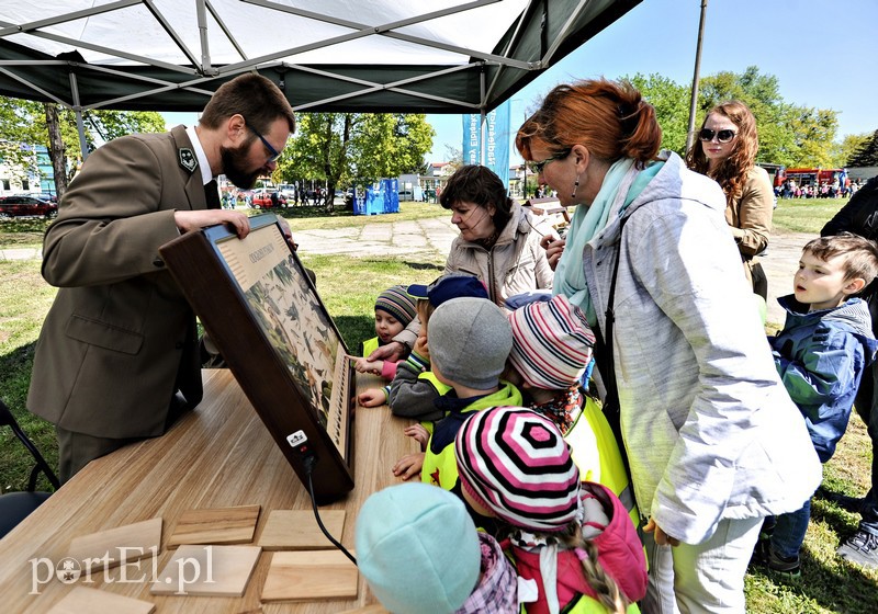 Wystrzałowy festyn służb mundurowych zdjęcie nr 151596