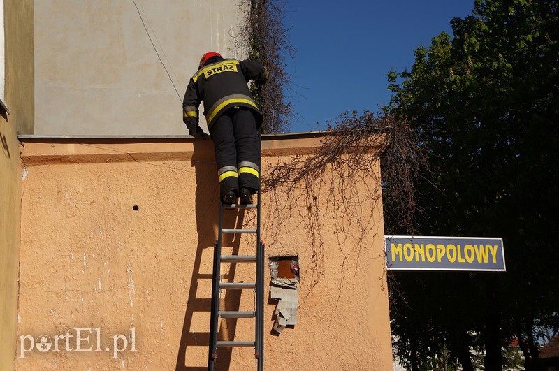 Pożar sklepu przy Ogrodowej zdjęcie nr 151642