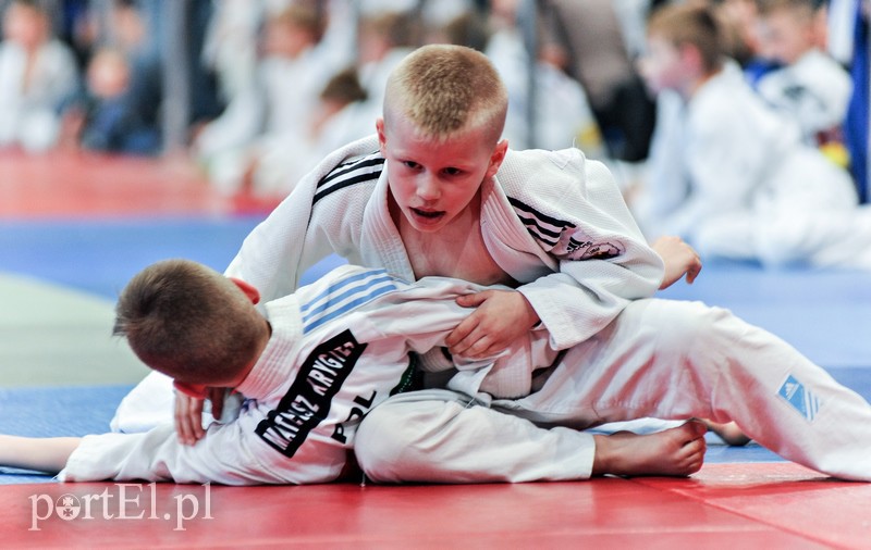 Walczą mali judocy zdjęcie nr 151735