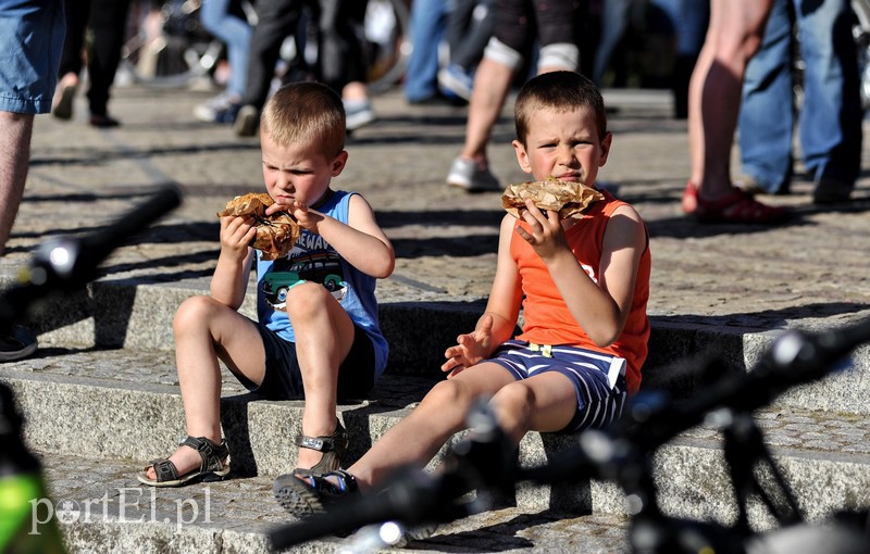 Bulwar przyciąga jedzeniem zdjęcie nr 152773
