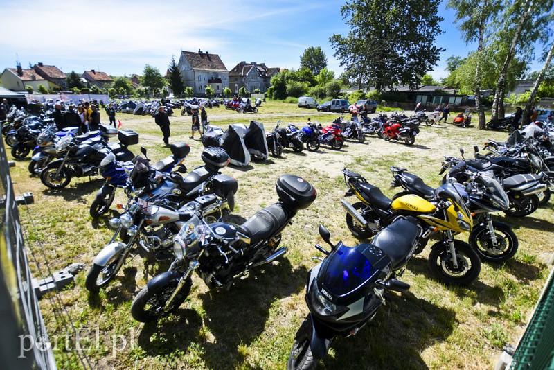 Po warkocie ich poznacie! zdjęcie nr 153305