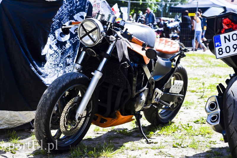 Po warkocie ich poznacie! zdjęcie nr 153310