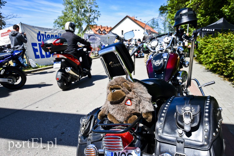 Po warkocie ich poznacie! zdjęcie nr 153311