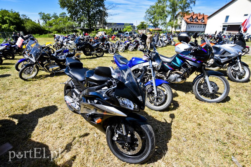 Po warkocie ich poznacie! zdjęcie nr 153306