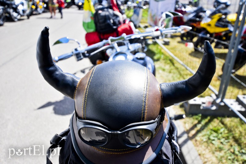 Po warkocie ich poznacie! zdjęcie nr 153331