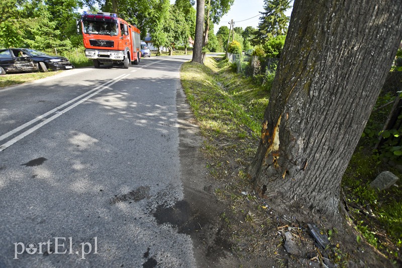 Uderzył w dwa drzewa, kierowca miał 2,5 promila zdjęcie nr 153657