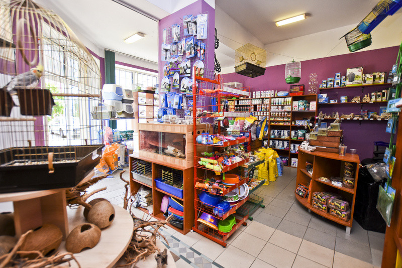 To, co najlepsze dla Twojego pupila zdjęcie nr 153776