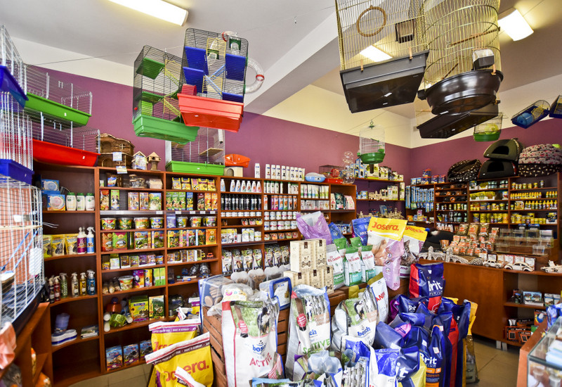 To, co najlepsze dla Twojego pupila zdjęcie nr 153768