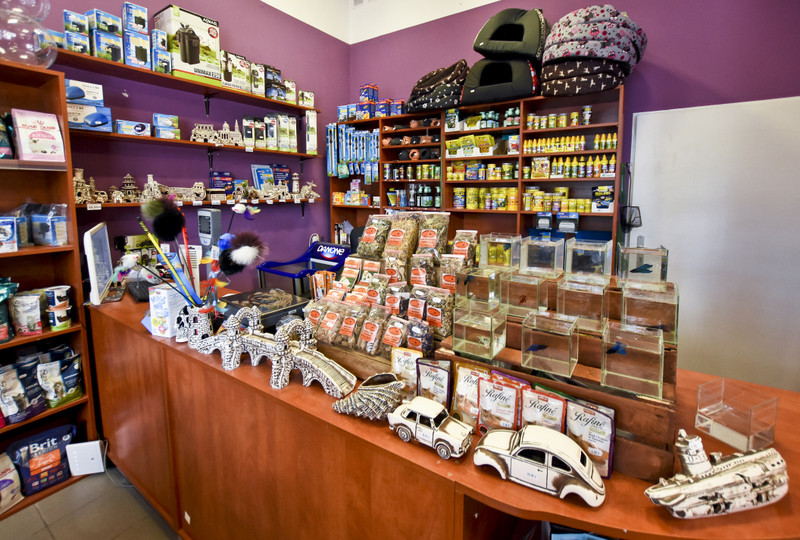 To, co najlepsze dla Twojego pupila zdjęcie nr 153770