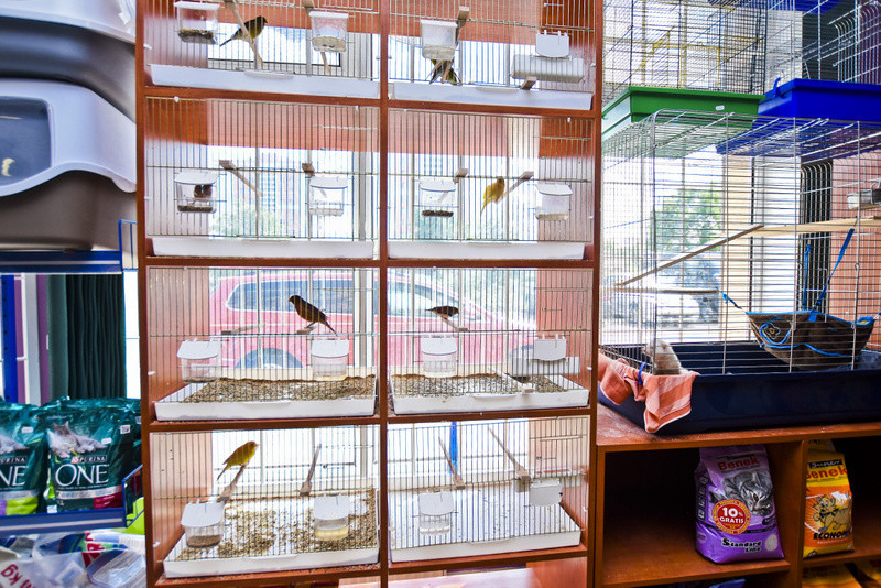 To, co najlepsze dla Twojego pupila zdjęcie nr 153772