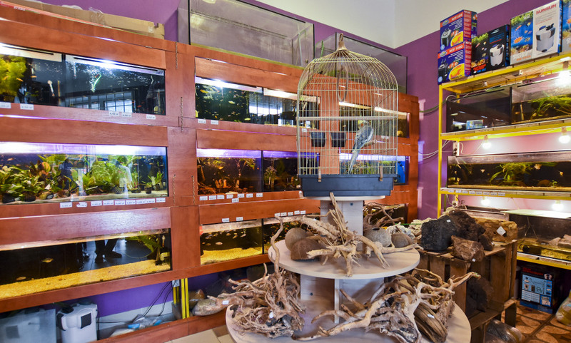 Elbląg To, co najlepsze dla Twojego pupila