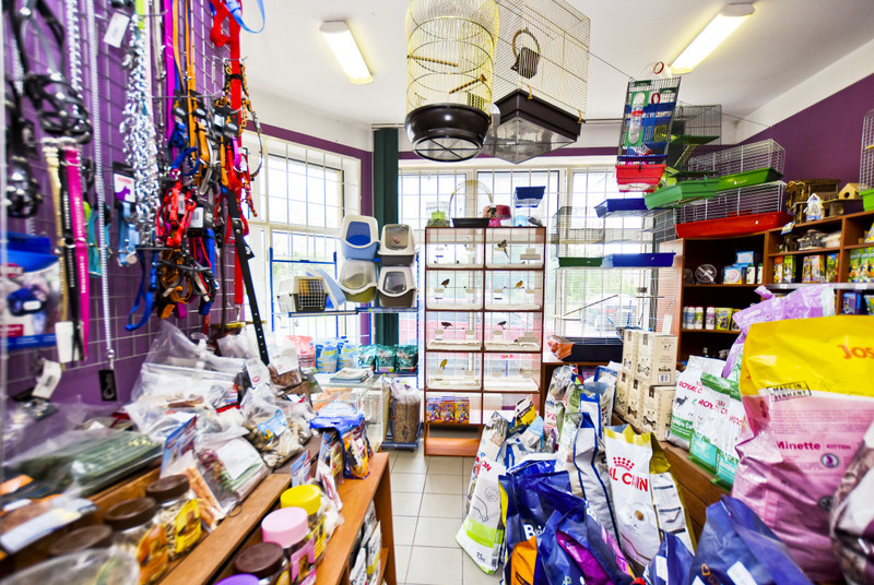 To, co najlepsze dla Twojego pupila zdjęcie nr 153771