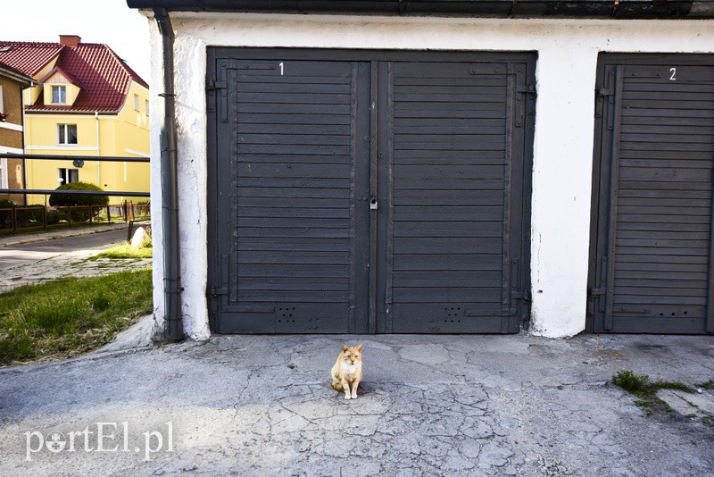 Rakowie w obiektywie portEl.pl zdjęcie nr 154272