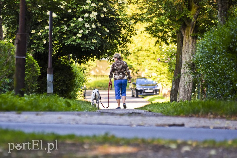 Rakowie w obiektywie portEl.pl zdjęcie nr 154288