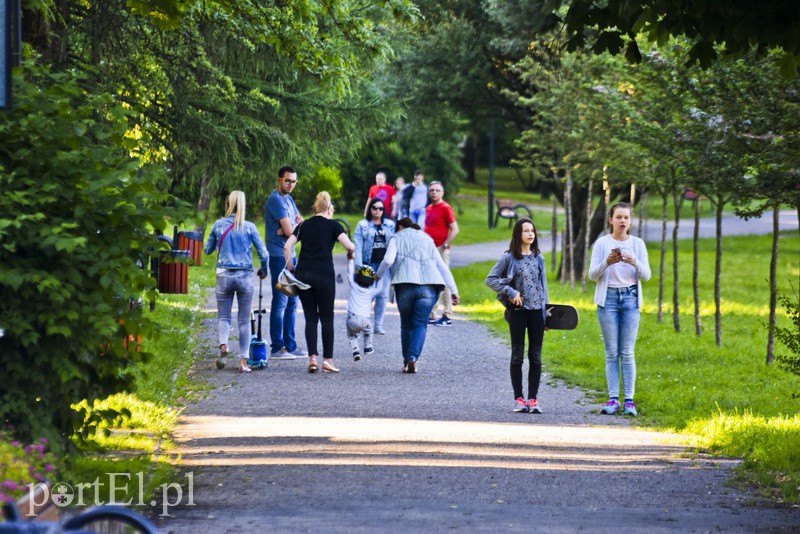 Rakowie w obiektywie portEl.pl zdjęcie nr 154284