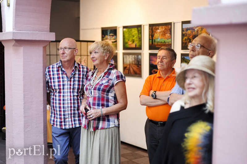 Po zdjęcia lasu trzeba się nachodzić zdjęcie nr 154643