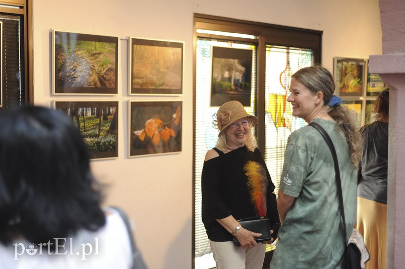 Po zdjęcia lasu trzeba się nachodzić zdjęcie nr 154636