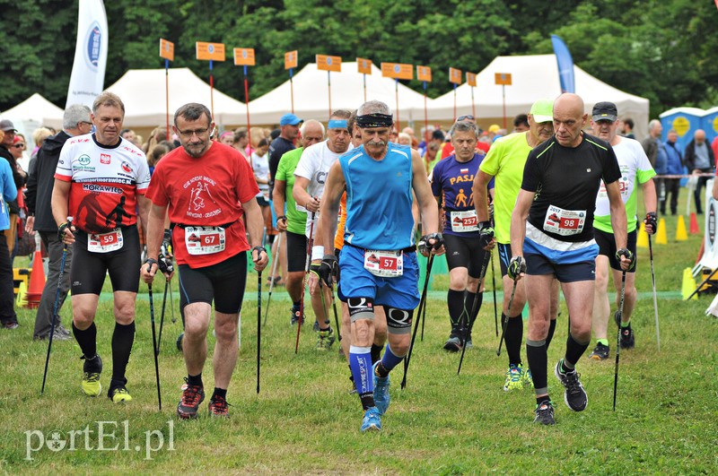  W Bażantarni królował nordic walking zdjęcie nr 155015