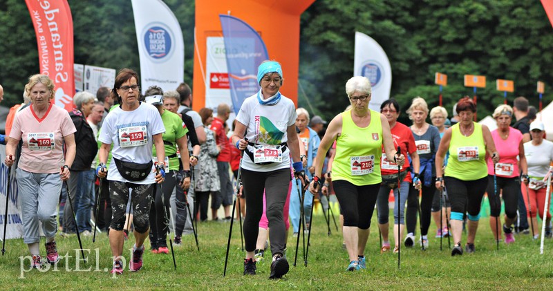  W Bażantarni królował nordic walking zdjęcie nr 155029