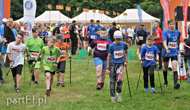  W Bażantarni królował nordic walking zdjęcie nr 155007