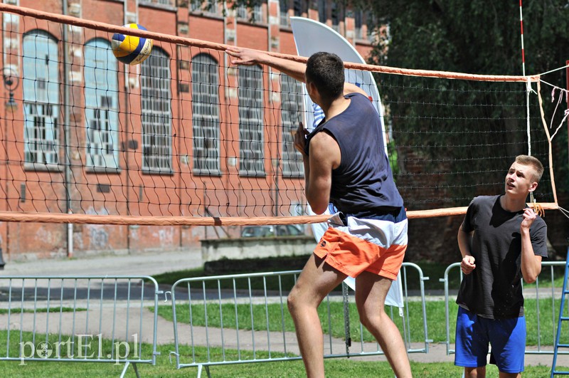 Puchar Prezydenta Elbląga pojechał do Malborka  zdjęcie nr 155909