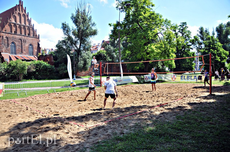 Puchar Prezydenta Elbląga pojechał do Malborka  zdjęcie nr 155899