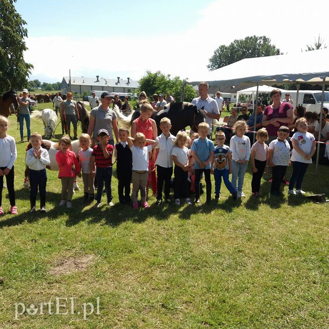 Elbląg Pony Cup w Narusie