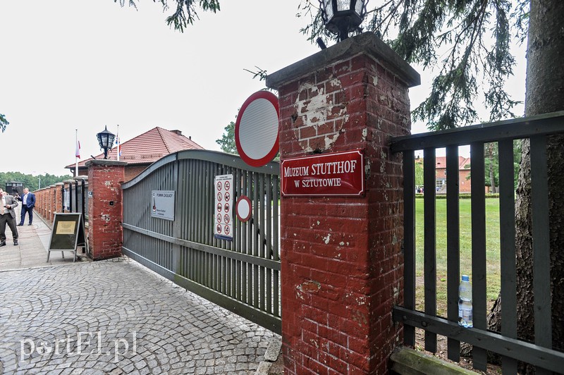  Tłumy przyjechały do Sztutowa, by witać książęcą parę zdjęcie nr 156310