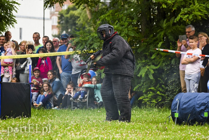 Policyjny festyn na bulwarze zdjęcie nr 156798