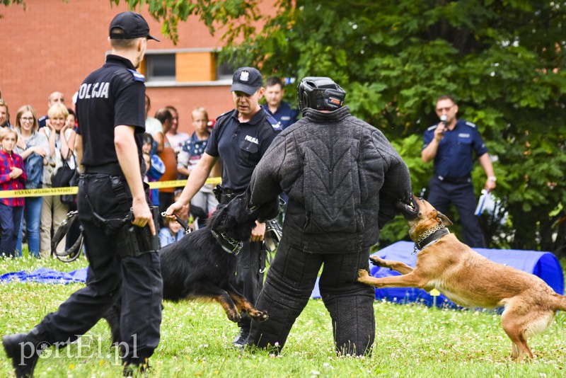 Policyjny festyn na bulwarze zdjęcie nr 156802