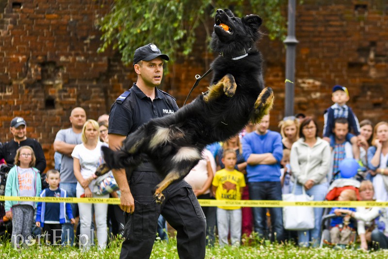 Policyjny festyn na bulwarze zdjęcie nr 156780